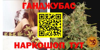 mdpv Заводоуковск
