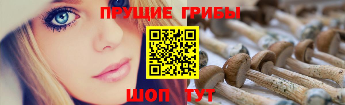 Галлюциногенные грибы мухоморы Ярославль